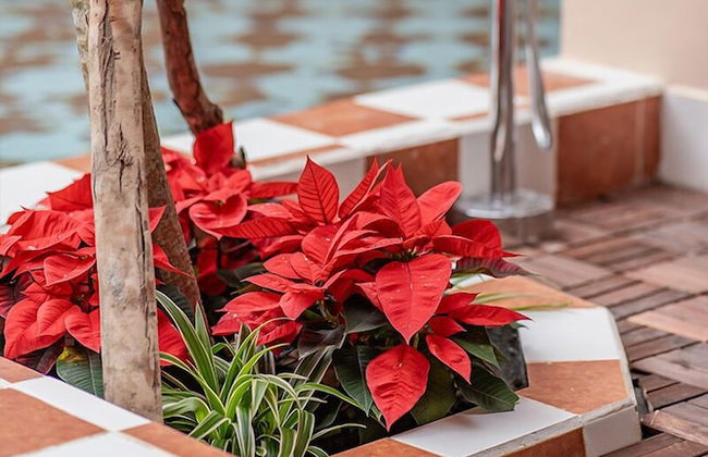 Palmera Villa Hoi An - Foto 42