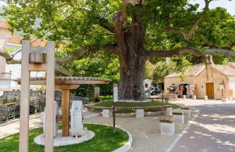 Villa Scala 2 - Mlini - Foto 37