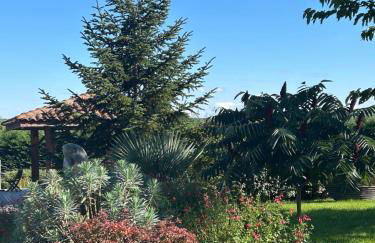 DOMAINE D'ELUSA - Photo 20