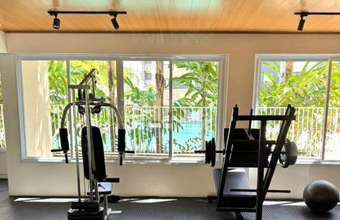 Areia dourada - Foto 18