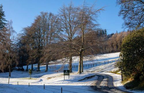 The Bothy at Bowhill - Foto 12