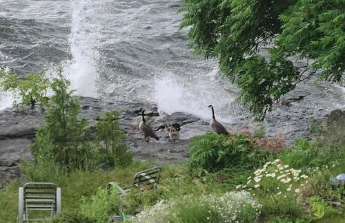 Loza house adirondack screened-in porch unit lake front - Foto 51