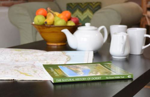 1 Bed in Whitchurch Canonicorum CIBAR - Photo 5