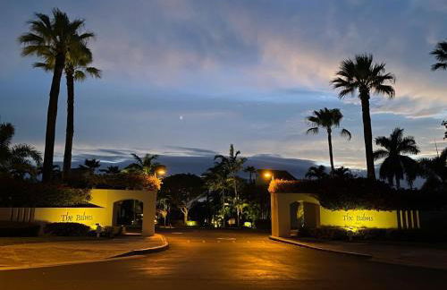 Wailea Hidden Gem - Foto 41