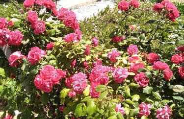 Villa Serenity a luxury relaxing retreat with swimming pool in Kymi Euboea - Foto 133