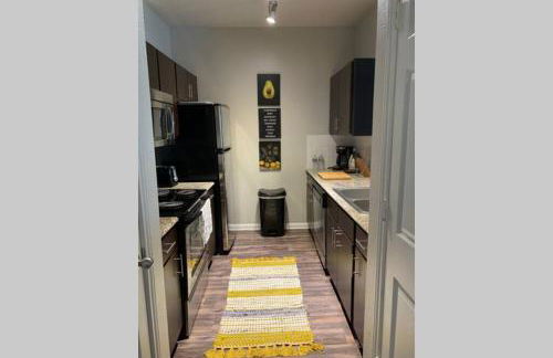 Newly Furnished 1BR Apartment w/ Hermann Park View - Foto 29