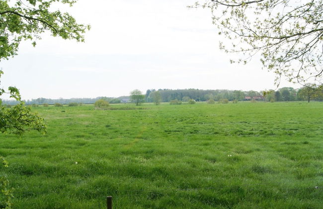 Cosy Holiday Home in Appelscha With a Great View - Foto 26