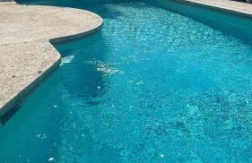 Granada Hills Private Unique Pool Luxury 4BR Family Retreat - Patio, Outdoor Dining, BBQ Grill, & Free Parking - Foto 43