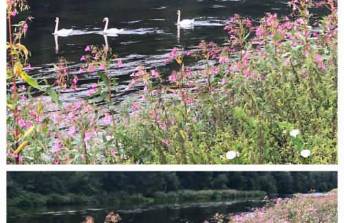 Chalet LE BAUSOY - Foto 16