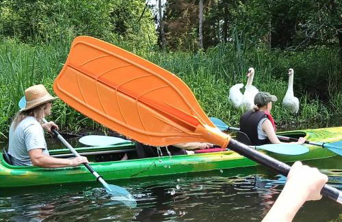 Jabłkowo-na skraju Puszczy Boreckiej ŚNIADANIA W CENIE - Foto 12