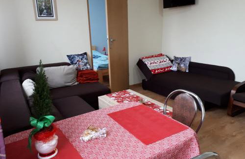 Apartament Borowiacki - Foto 12