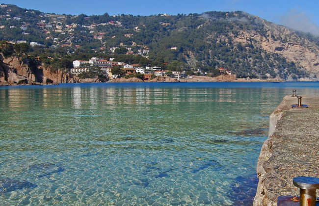 Xarmada Guillermo - Foto 32