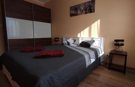 Grand Apartament nad Iławką - Foto 4