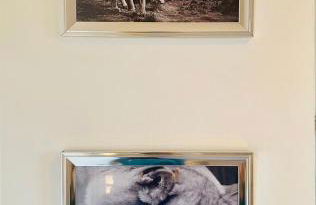 THE LAZY LION - Spacious 2 Bedroom - Town Centre Holiday Home Apartment - Photo 41