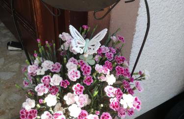 Haus Pfaff - Photo 23