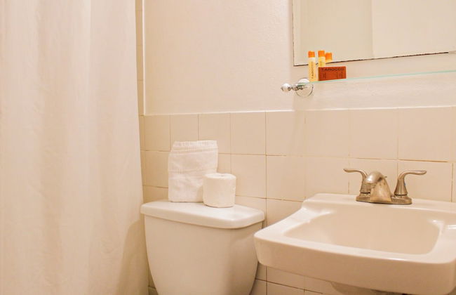 Gladiolas 2202 - Foto 11