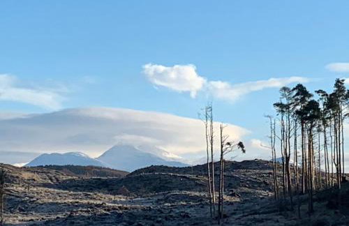 Tawny Owl Pod with Hot Tub - Foto 55