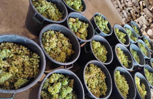 Quinta Barqueiros D'Ouro - Casa da Música - Photo 27