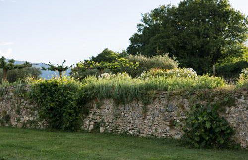 Domaine de la barbeirasse - Foto 55