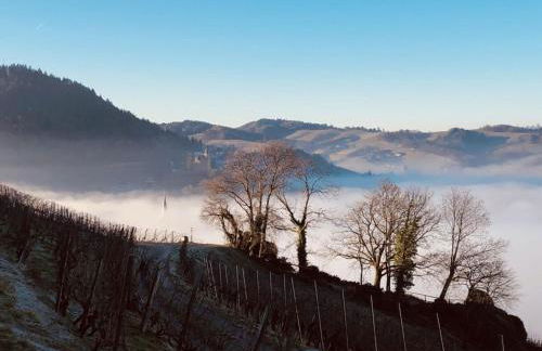 Azuria Black Forest Loft - Photo 24