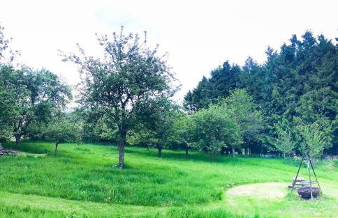 The Organic Cotswolds Cowshed - Photo 25