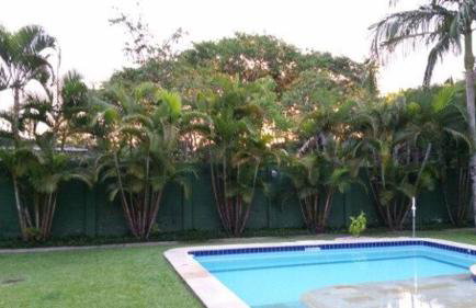 Encantadora Chácara com Piscina em Itanhaém - Foto 32