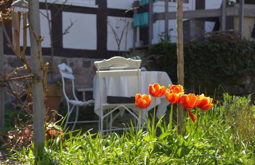 Ferienwohnung Eliese in Suhl - Foto 38