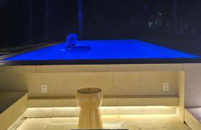 Natureza Instagrmável Casa Penedo - Photo 11