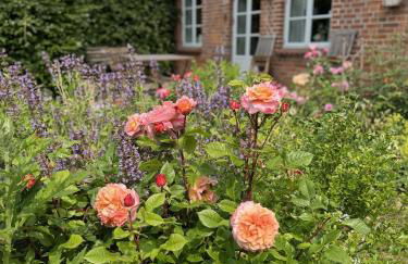 Kutscherremise Gut Niendorf - ABC592 - nur Feriengäste! - Foto 23