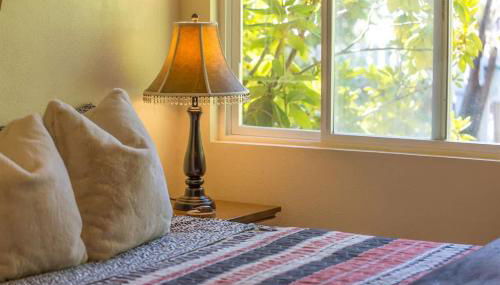 SQ Rose Bud 1 - Photo 4