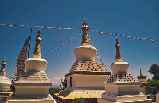 Experience the Rural Spain With Wine, Activities and More at Sidro & Co - Foto 88