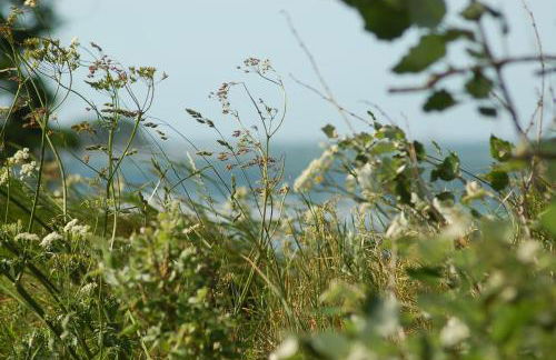 Ferienbauernhof Liesenberg Meerblickhaus Strandmuschel - Foto 44