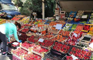 Mipro mobilhome 6 - Foto 51