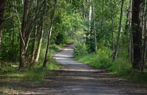 Apartament Natalia - Foto 17