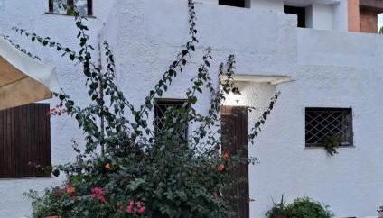 LA FRASCA FRESCA - Photo 4