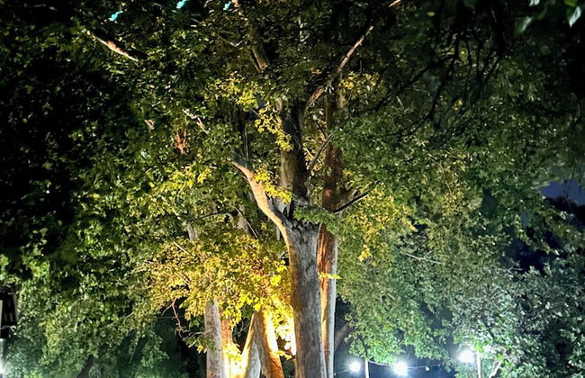 Casablanca La Granja de Capilla - Foto 19