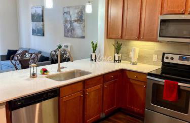 Houston Luxury 1BR-3BD-Pool-Gym - Foto 12