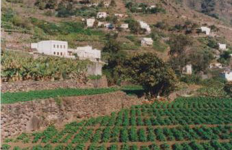 Casa Rural La Cuadra - Foto 8