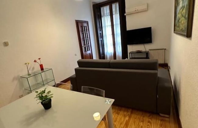 LOFTS Puerta del SOL - Photo 56