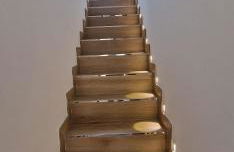 A Casiña Laranxa - Foto 10