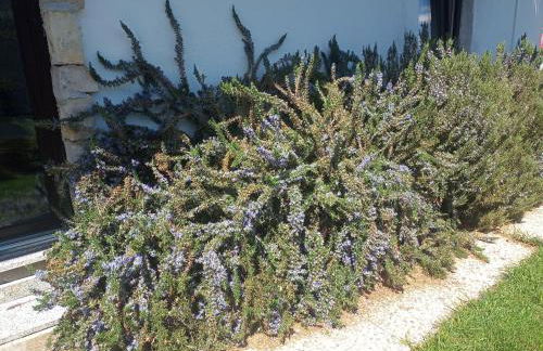 Chalet cima 12 Valle di Sella - Foto 59