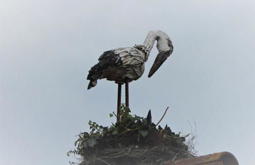 Ferienhaus Storchennest - Foto 23