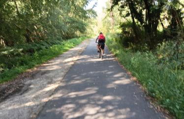 Grande maison entre Lac et forêt - Foto 53