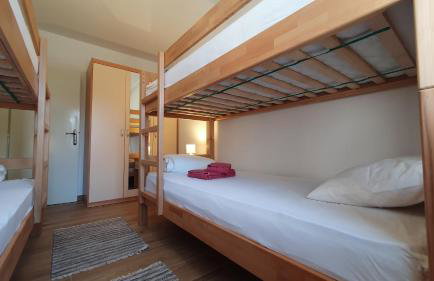 Holiday house - Dvori Vlahovici - Foto 22