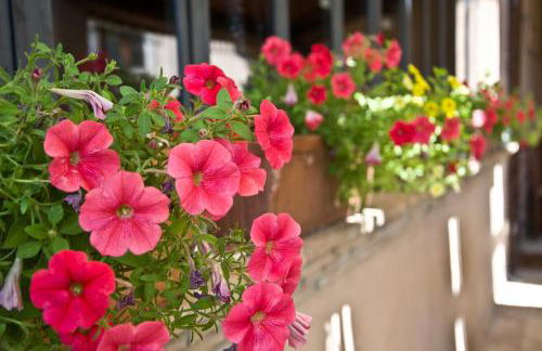 Agriturismo Terra Sabina - Foto 55