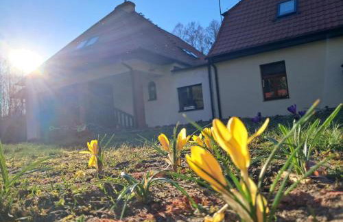 Leśniczówka Świt Gabriela Pieczka - Foto 1