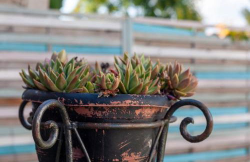 Maison Mexico - Foto 18