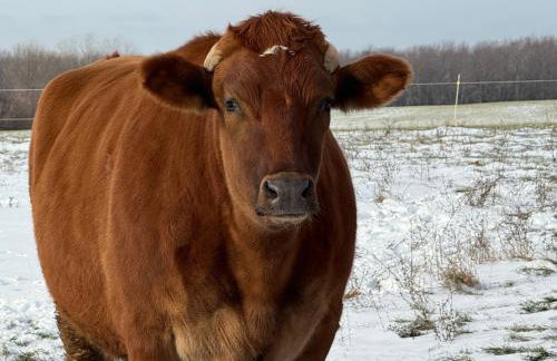 Lakefront Farmhouse for Family Gatherings - Foto 46