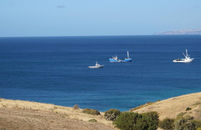 Lindsays of Kangaroo Island - Photo 12