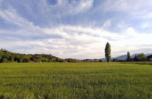 Ca' Emma Teolo - Foto 10